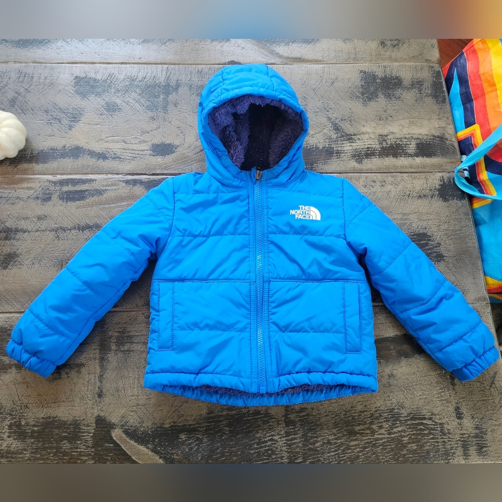 The North Face Vibrant Blue Jacket